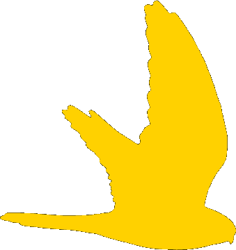 Kestrel logo